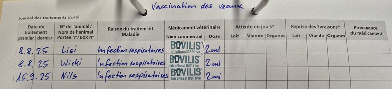 Image - Vaccination_veaux.jpg